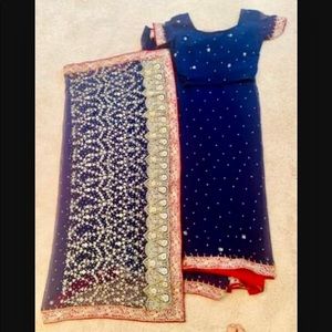 Blue Shaforn embroidery saree